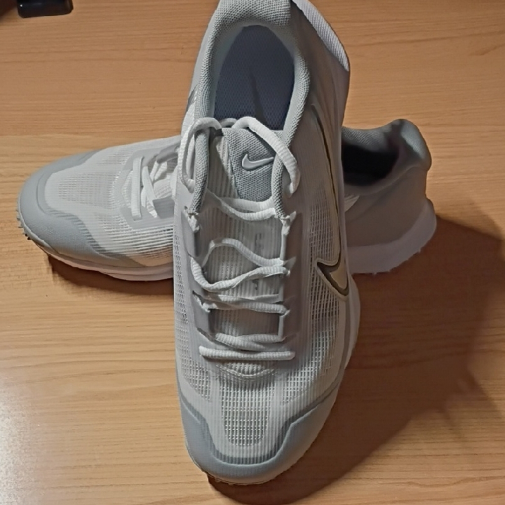 Nike Men's Light Gray Athletic Shoes